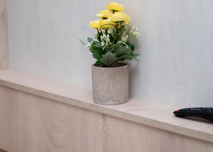 Apartment Hill A037 Kopaonik