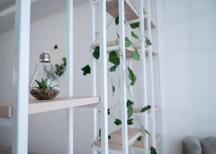 Hill A037 * Kopaonik